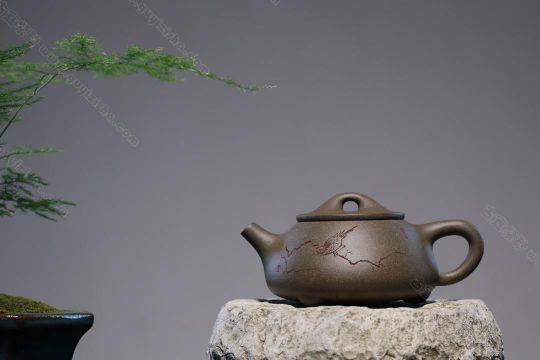 景州石瓢 景州石瓢