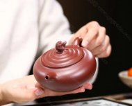 《魚(yú)樂(lè)壺》