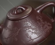 瓣生香獨傲寒，此梅難并眾梅看。 【