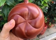 《魚(yú)化龍?zhí)捉M》