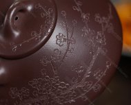 瓣生香獨傲寒，此梅難并眾梅看。 【