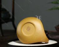 《金蟾納?！? title=