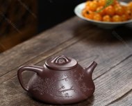 瓣生香獨傲寒，此梅難并眾梅看。 【