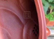 《魚(yú)化龍?zhí)捉M》