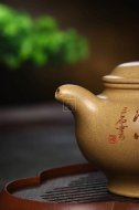 《掇只》宜興紫砂壺助理工藝美術(shù)師手工本山段泡茶壺掇只茶具