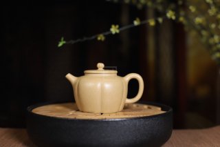 《菊蕾》宜興紫砂壺助理工藝美術師手工標本級本山段泥泡茶壺菊蕾茶具 《菊蕾》宜興紫砂壺助理工藝美術師手工標本級本山段泥泡茶壺菊蕾茶具